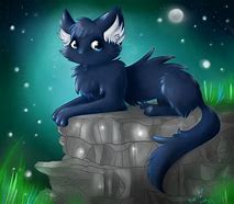 Image result for Galaxy Cat Draw