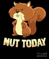 Image result for Squirrel Nut Funny Bad Day
