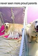 Image result for Three Dogs Meme