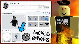 Image result for Official Roblox Account