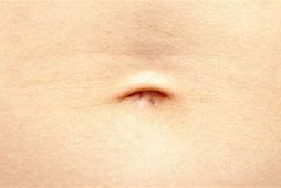 Image result for Different Belly Button Shapes