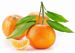 Image result for Orange Fruit 4To