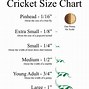 Image result for Crickets for Sale Online