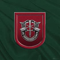 Image result for 1st Special Forces Group Flash JPEG