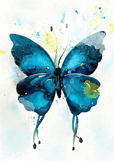 Amutorei: I will create for you colorful watercolor paintings for $25 on fiverr.com in 2021 | Butterfly watercolor, Butterfly art painting, Butterfly painting