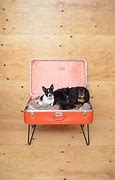 Image result for Floor Model TV into Pet Bed