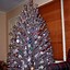 Image result for Christmas Trees in the 60s