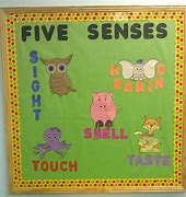 Image result for Preschool Board Ideas 5 Senses