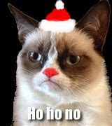 Image result for Angry Cat Christmas Meme