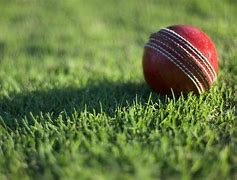 Image result for In Cutter Ball Cricket