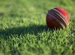 Image result for Cricket Bat HD