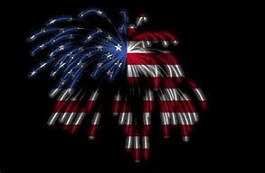 Image result for Patriot Party Flag