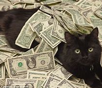 Image result for Cat Dollar Bill Meme
