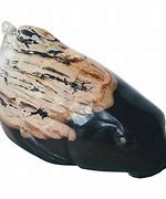 Image result for Petrified Wood Carving