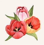 Image result for Tulip Bouquet Drawing