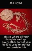 Image result for Earth and Brain Meme