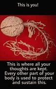Image result for What's in Your Brain Meme Doawk