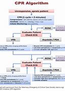 Image result for CPR Algorythym Recover