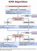 Image result for Recover CPR Protocol