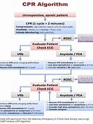 Image result for Recover CPR Guidelines Veterinary