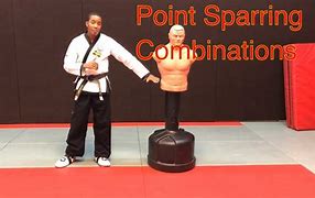 Image result for Point Sparring