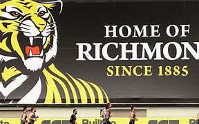Image result for Richmond FC Owner