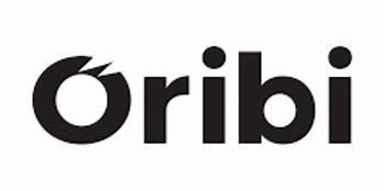 Image result for Oribi Construction Logo