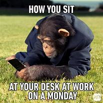 Image result for Monday Office Humor