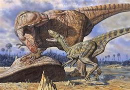 Image result for Largest Land Carnivore Dinosaur
