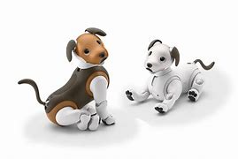 Image result for Aibo Brown