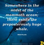 Image result for Whale Life Quote Pictures for Desktop Background
