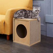 Image result for Best Cat Scratchers