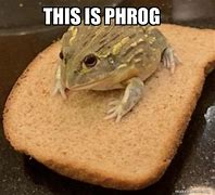 Image result for Phrog On Da Bread Meme