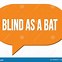 Image result for Blind as a Bat