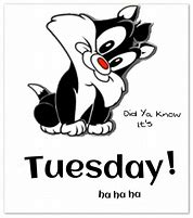 Image result for Funny Tuesday Greetings