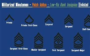 Image result for Fallout 4 Minutemen Ranks