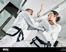 Image result for Martial Arts Fighter