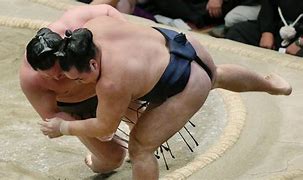 Image result for Sumo Wrestling Referee