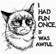 Image result for Cartoon Grumpy Cat Quotes