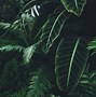 Image result for Awesome Green Backgrounds