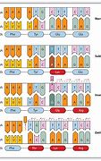 Image result for Difference Between Gene and DNA