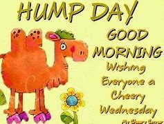 Image result for Scentsy Good Morning Hump Day