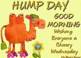 Image result for Good Morning Hump Day