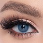 Image result for Contact Lenses