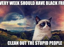 Image result for Black Friday Grumpy Cat Memes