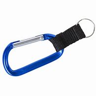 Image result for Carabiner with Strap