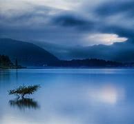 Image result for Landscape with Blue Lowers Wallpaper