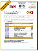 Image result for Certificate in Computer Programming