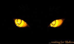 Image result for Moving Green Cat Eyes GIF