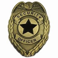 Image result for Security Lapel Pins